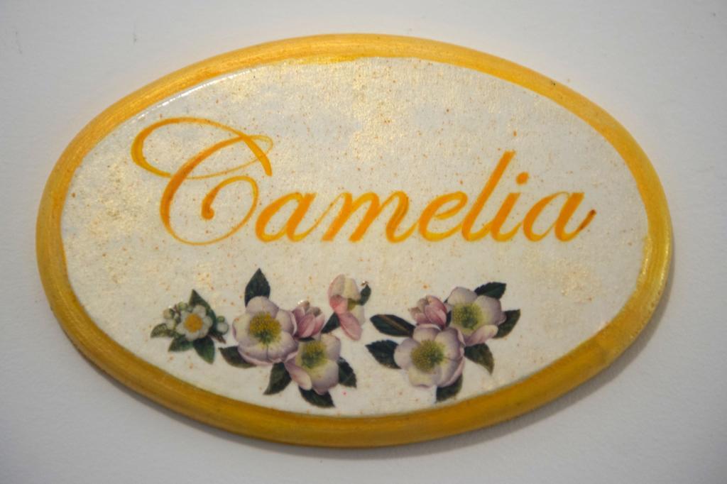 تافيانو B&B Corte Dell' Immacolata المظهر الخارجي الصورة